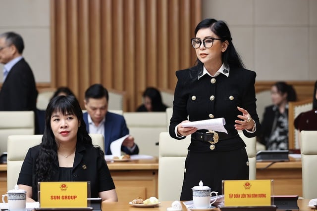 img6437-17000184966021234451505-1511 Bà Lê Hồng Thuỷ Tiên, Tổng Giám đốc Tập đoàn Liên Thái Bình (IPPG) đề xuất mở các Factory Outlet trong khu phi thuế quan. Ảnh: VGP