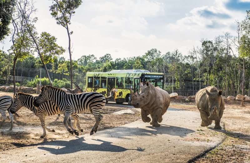 vp_pq-kich-cau-cuoi-nam_a6-1542 Vinpearl Safari Phú Quốc