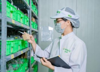 “Kiến tạo dưỡng chất lành”: Bước đi mới của Vinasoy trên thị trường thực vật