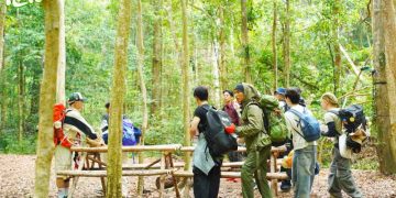Đức Phúc bị hội anh em “ra rìa” giữa rừng, loạt biểu cảm gây cười chiếm sóng “Say Hi” Rực Rỡ