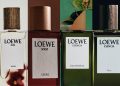LOEWE Perfumes: những “sắc xanh” dành riêng cho người cha hiện đại