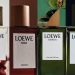 LOEWE Perfumes: những “sắc xanh” dành riêng cho người cha hiện đại